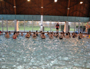 Aquagym