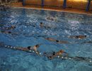 Perfectionnement � la natation