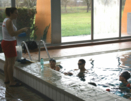 Apprentissage natation adulte