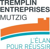 Tremplin Entreprises - logo