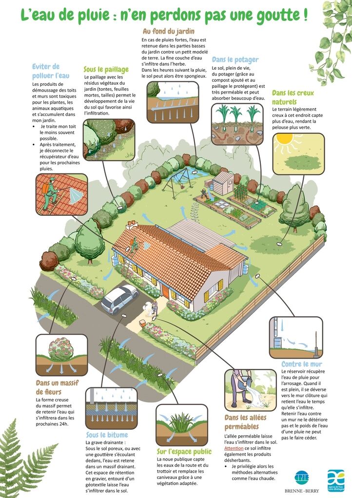 Récupérateur d'eau de pluie et jardin de pluie : les aides