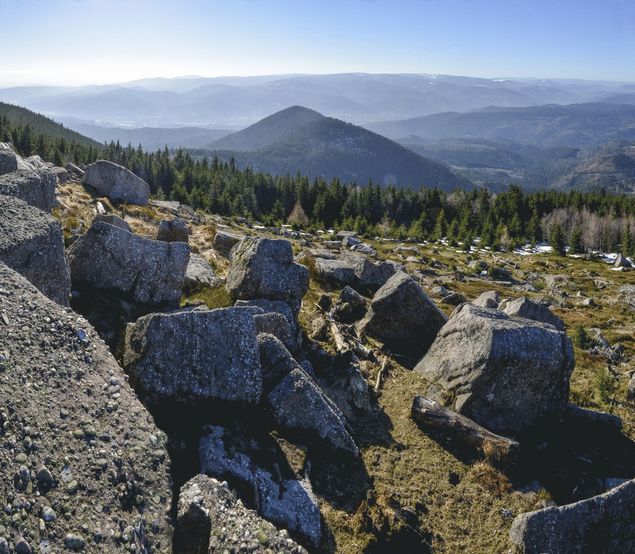 Découvrez les sites Natura 2000 des crêtes du Donon-Schneeberg !