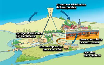 Cycle d'assainissement